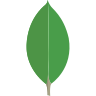 Icon 1